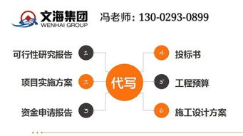 石阡仔細(xì)寫項(xiàng)目計(jì)劃書(shū)本地公司